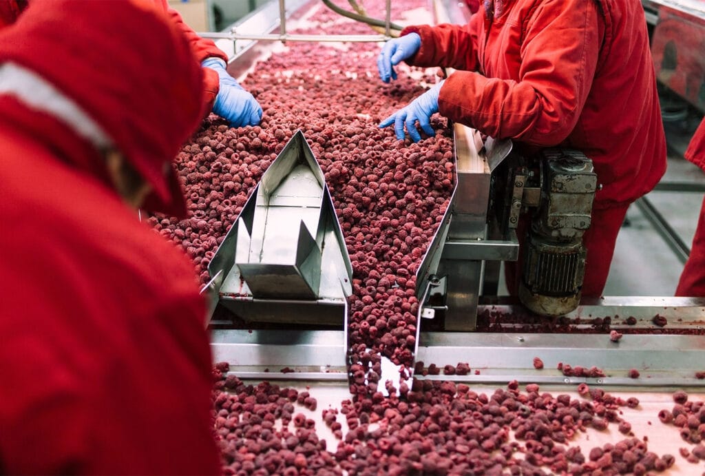 example of food processing in a factory